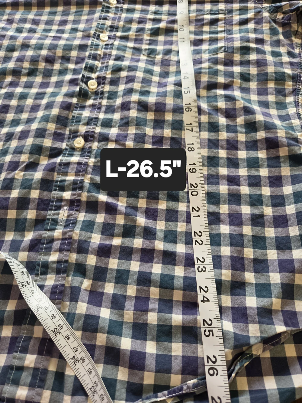 J. Crew Blue and White Gingham Button-Down Shirt